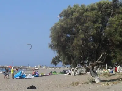 a group of people on a beach with a tree and tents at To Akrogiali in Phanaes