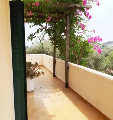 Gallery image of Castellano Apartments in Afantou
