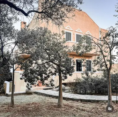 Gallery image of Castellano Apartments in Afantou