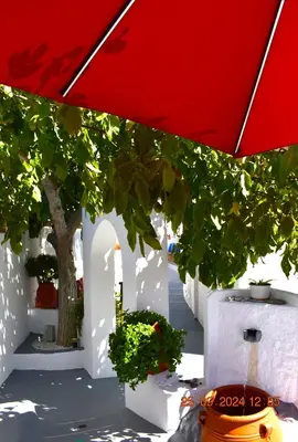 a red umbrella and some plants and a tree at Mannas House 2 in Émbonas
