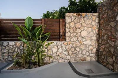 a plant in a vase next to a stone wall at Kathy's apartments in Archaggelos in Archangelos