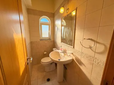a bathroom with a sink and a toilet and a mirror at Tharreni's house in Lindos in vlicha