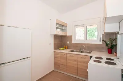 a kitchen with wooden cabinets and a white refrigerator at Giannis Place in Arnítha