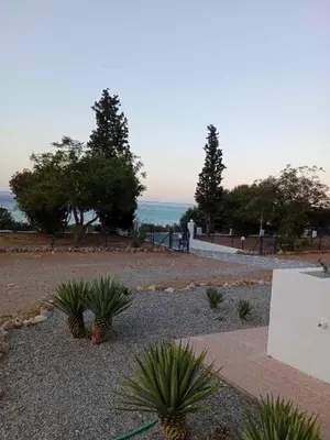 a group of plants in a gravel area with the ocean at Pefkos Crystal Bay SELF-CATERED Studios and Apartments in Pefki Rhodes
