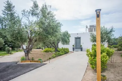 a sidewalk in front of a white building with trees at Arokaria Seaview House in Koskinou