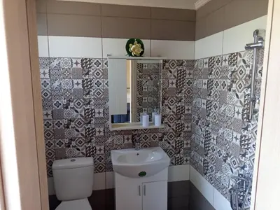 a bathroom with a toilet and a sink and a mirror at Villa Oasis 3 in Kalithies