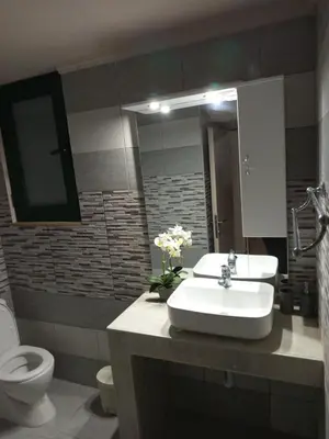 a bathroom with a sink and a toilet at Villa Oasis 3 in Kalithies