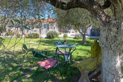 a table and chairs sitting under a tree at Billys House in Lardos