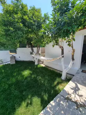 a tree with a rope tied to it in a yard at The Garden House in Paradisi in Paradeísion
