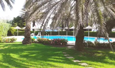 a swimming pool with two palm trees in a yard at Paras Beach Apartments in Ialyssos