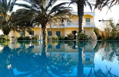 a house with palm trees and a swimming pool at Paras Beach Apartments in Ialyssos
