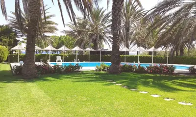 a yard with palm trees and a swimming pool at Paras Beach Apartments in Ialyssos