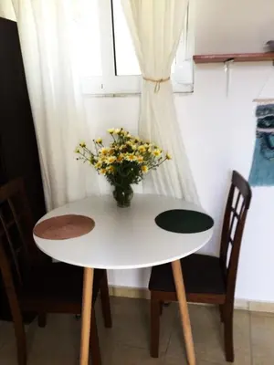 a white table with a vase of flowers on it at Laertis Studio in Kattavía