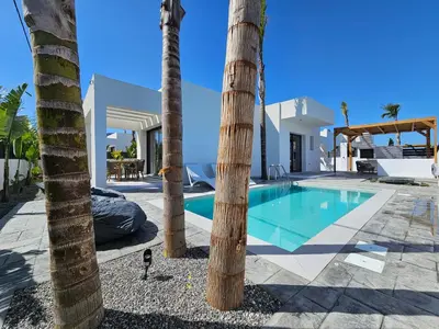 a villa with a swimming pool and palm trees at Myrteni Pool Villas in Ialyssos