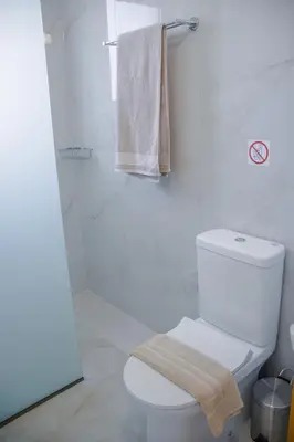 a white bathroom with a toilet and a shower at ELMA apartment 1 Kremasti in Kremasti