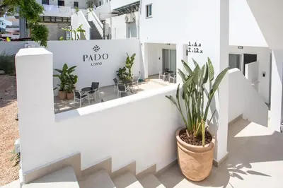 a plant in a pot next to a white building at Pado Living in Faliraki