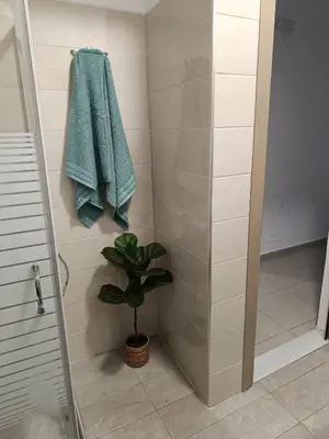 a shower with a towel and a plant in a bathroom at Tatti's Apartment in Rhodes Town