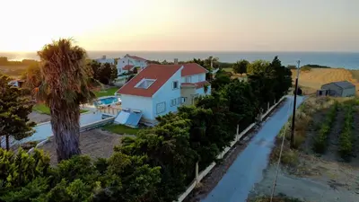 a house with a palm tree and a road at Villa Eos in Kalavárda