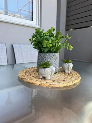 a table with a potted plant on top of it at KMS Summer House Ialisos in Rhodes Town