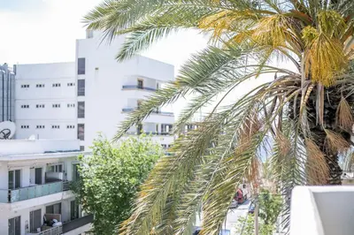 a palm tree in front of some buildings at DownTown Horizon View in Rhodes Town