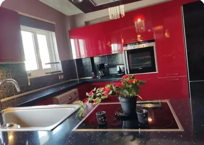 a kitchen with red cabinets and a sink with a potted plant at Rhodos City in Rhodes Town