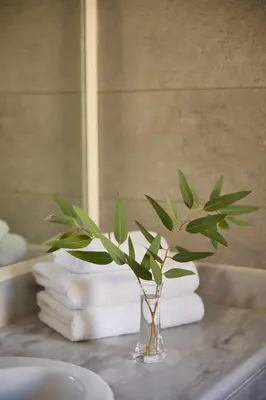 a vase with a plant sitting on a counter with towels at Kiotari Miraluna Beach Resort in Kiotari