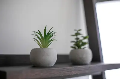 two potted plants sitting on a wooden table at The Keep38 in Rhodes Town