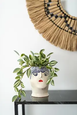 a vase with a plant on top of a table at Katerina family Apartment in Archangelos