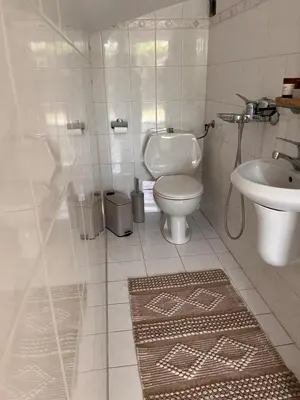 a white bathroom with a toilet and a sink at Andri's Garden House in Psinthos