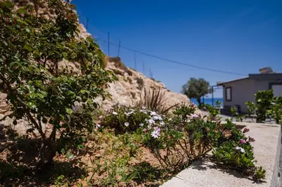 a retaining wall with flowers on the side of a hill at Pelagos in Vrachonisída touArchangélou