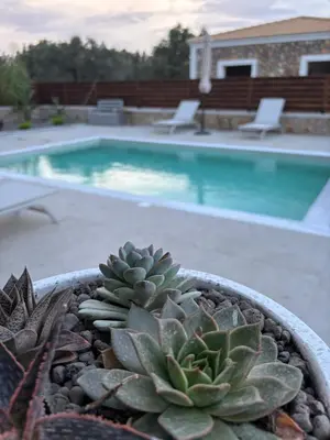 a succulent plant in a pot next to a swimming pool at Mandilaria stone house in Afantou