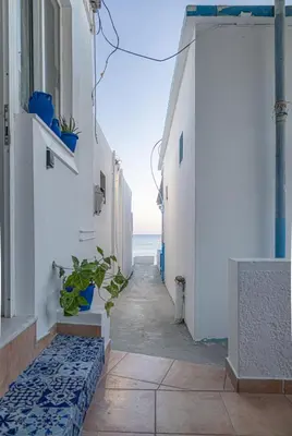 a narrow alley with white buildings and plants on it at Barbara's Apartments in Vrachonisída touArchangélou