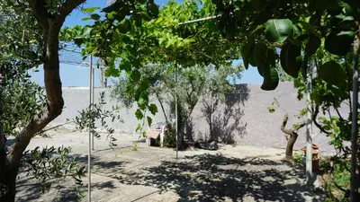 a view of the beach through the trees at Sugarcubes by Evagstays in Faliraki