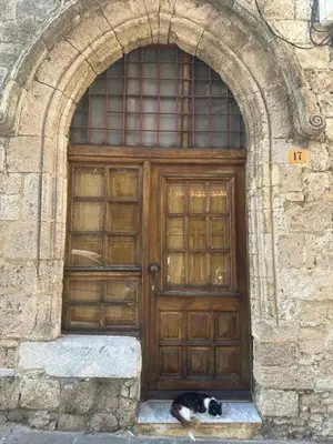 a black and white cat sitting in front of a wooden door at St John house Castle City in Rhodes Town