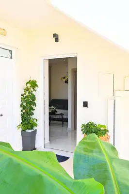 a living room with potted plants in a house at Harmony Studio Apartment in Ialyssos