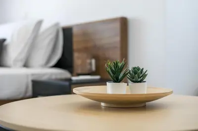 a wooden table with two plants on top of it at Bless View Studios in Lachania