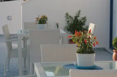 a table with a potted plant on top of it at Bouganville Studios Stegna in Archangelos