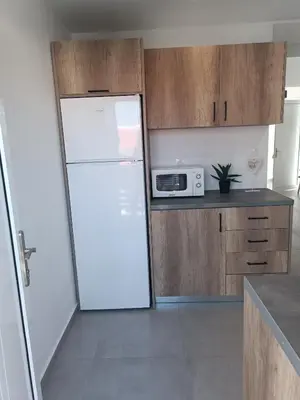 a kitchen with a refrigerator and a microwave at Platanou 21 Apartments in Kremasti