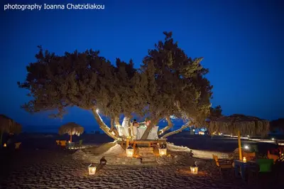 a large tree with lights on a beach at night at Mojito Beach Rooms in Lachania