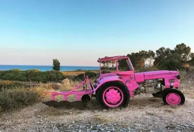 a pink truck parked in a field next to the ocean at Mojito Beach Rooms in Lachania