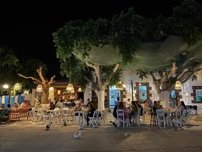 a group of people sitting at tables in front of a restaurant at Via Vasileia in Kattavía