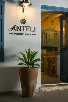 a plant in a pot in front of a kitchen at Anteli Luxury Villa in Halki