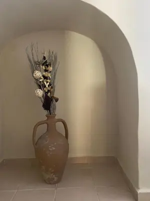 a vase with flowers in a corner of a room at Liora in Rhodes Town