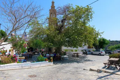 a tree in a courtyard with a clock tower in the background at White House 1871 in Lachania