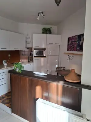 a kitchen with a counter with a refrigerator and a microwave at Antony's Elli beach home in Rhodes Town