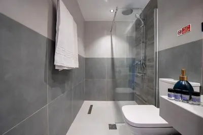 a bathroom with a toilet and a shower at Dorothea Apartments #1 with sea view in Koskinou