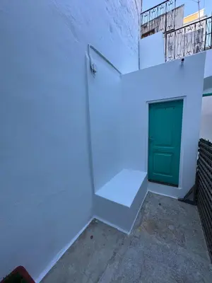 a white wall with a green door on it at Lindiakos Villa AMI in Symi