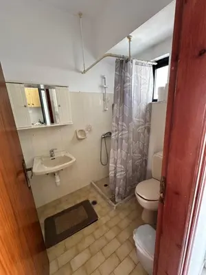 a bathroom with a toilet and a sink and a shower at My Agathi Studios in Haraki