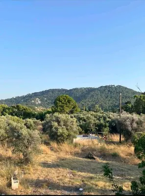 a field with trees and a mountain in the background at Aparment in a country house in Ialyssos