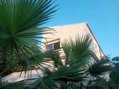 a building with palm trees in front of it at Aparment in a country house in Ialyssos